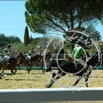 Uzes_haras_horse-ball (10)