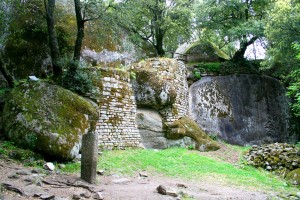 Une chouette promenade sur les sites préhistoriques de Cucuruzzu et Capula