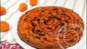 Tarte moelleuse aux abricots sans gluten